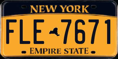 NY license plate FLE7671