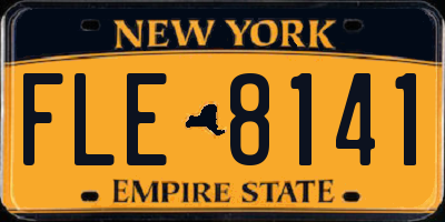 NY license plate FLE8141