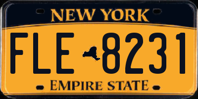 NY license plate FLE8231