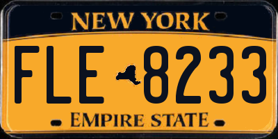 NY license plate FLE8233