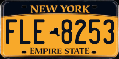 NY license plate FLE8253
