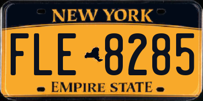 NY license plate FLE8285