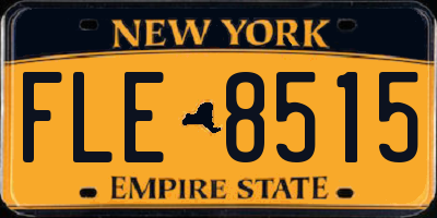 NY license plate FLE8515