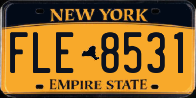 NY license plate FLE8531