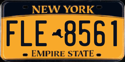 NY license plate FLE8561