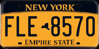 NY license plate FLE8570