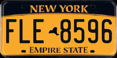 NY license plate FLE8596