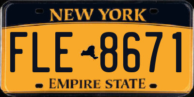 NY license plate FLE8671