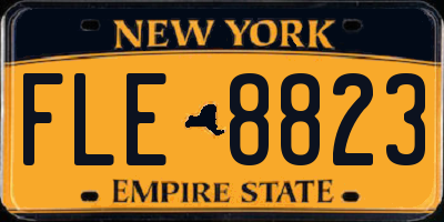 NY license plate FLE8823