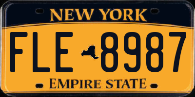 NY license plate FLE8987