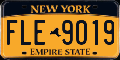 NY license plate FLE9019