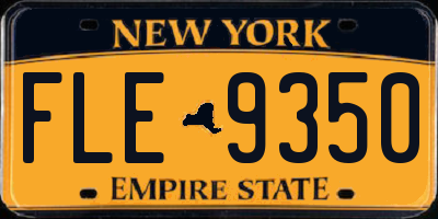 NY license plate FLE9350