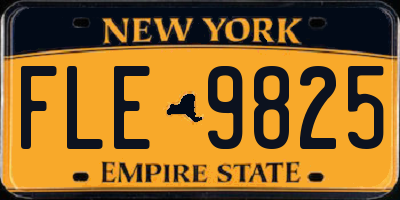 NY license plate FLE9825