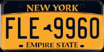 NY license plate FLE9960