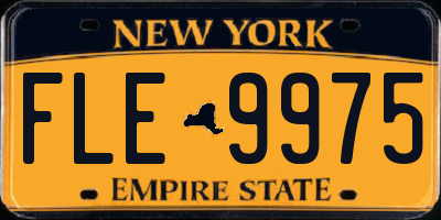 NY license plate FLE9975