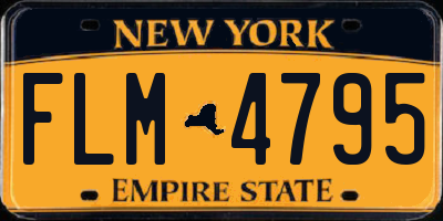 NY license plate FLM4795