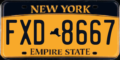 NY license plate FXD8667