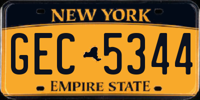 NY license plate GEC5344