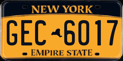 NY license plate GEC6017