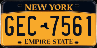 NY license plate GEC7561