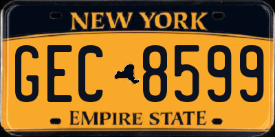 NY license plate GEC8599