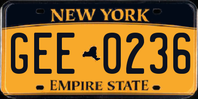 NY license plate GEE0236