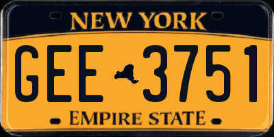 NY license plate GEE3751