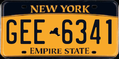 NY license plate GEE6341