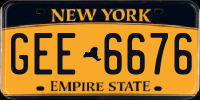 NY license plate GEE6676