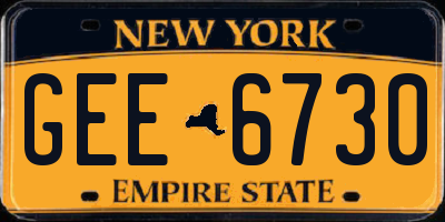 NY license plate GEE6730