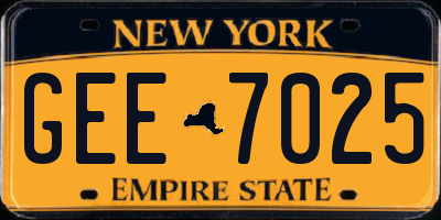 NY license plate GEE7025