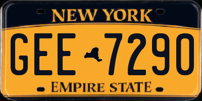 NY license plate GEE7290