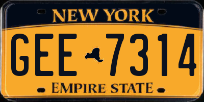 NY license plate GEE7314