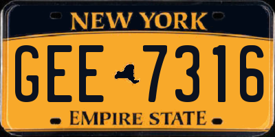 NY license plate GEE7316
