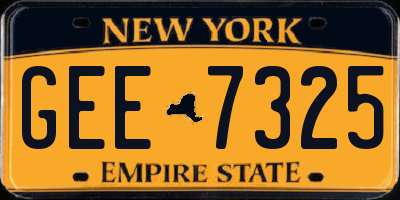 NY license plate GEE7325