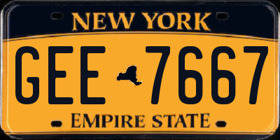 NY license plate GEE7667