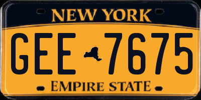 NY license plate GEE7675