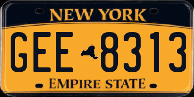 NY license plate GEE8313
