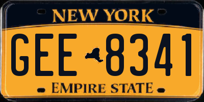 NY license plate GEE8341