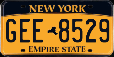 NY license plate GEE8529