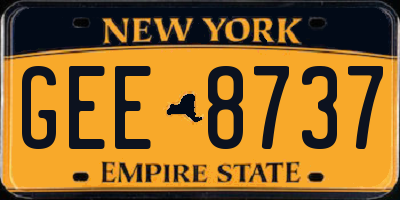 NY license plate GEE8737