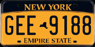 NY license plate GEE9188