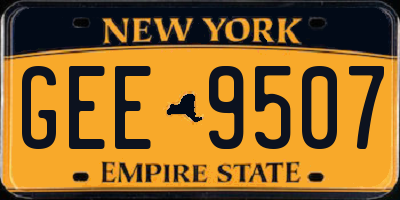 NY license plate GEE9507