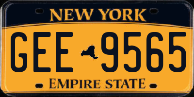 NY license plate GEE9565