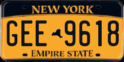 NY license plate GEE9618