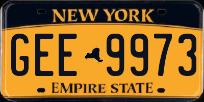 NY license plate GEE9973
