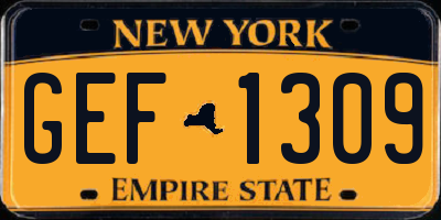 NY license plate GEF1309