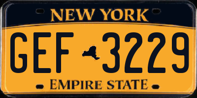 NY license plate GEF3229