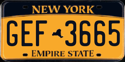 NY license plate GEF3665