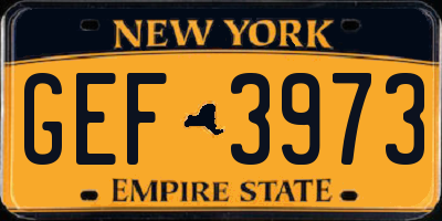 NY license plate GEF3973